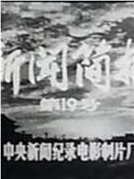 新闻简报1974年第19号在线观看