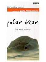 野生动物系列 北极熊：北极勇士在线观看