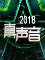 2018真声音在线观看