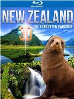 新西兰：遗忘的天堂