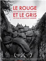 Le rouge et le gris, Ernst Jünger dans la grande guerre在线观看