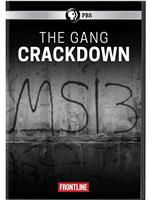 The Gang Crackdown在线观看