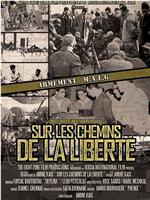 自由之路：阿尔及利亚战争中的军备