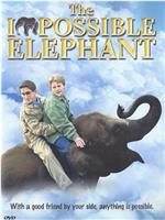 The Impossible Elephant