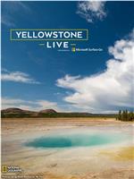 Yellowstone Live Season 1