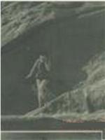美人岛