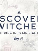 A DISCOVERY OF WITCHES – HIDING IN PLAIN SIGHT