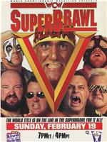 WCW SuperBrawl V在线观看