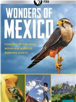 Wonders of Mexico Season 1在线观看