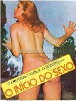 O Início do Sexo