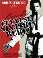 Bore Lee: Cuvaj se sinjske ruke!在线观看