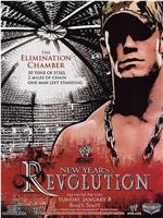 WWE New Year's Revolution