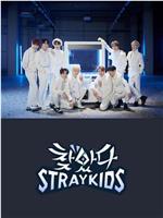 找到了Stray Kids