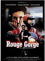 Rouge-gorge