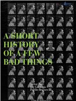 A Short History of a Few Bad Things