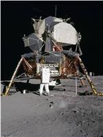奔月-阿波罗11号