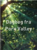 Dagbog fra Porn Valley