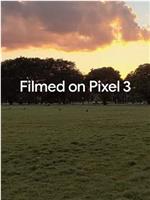 用谷歌Pixel3拍摄在线观看