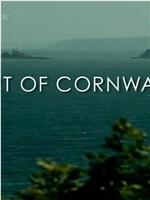 The Art of Cornwall在线观看