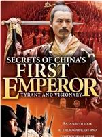 中国风暴-第一个皇帝的秘密