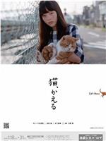 猫猫，回家