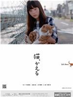 猫、かえる Cat's Home在线观看