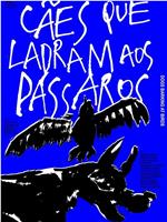 Cães que ladram aos pássaros在线观看