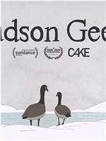 Hudson Geese在线观看