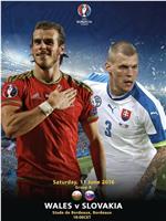 Wales vs. Slovakia在线观看