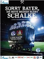 FC Schalke 04 vs Bayer 04 Leverkusen