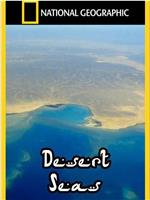 Desert Seas在线观看