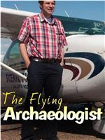 飞翔的考古学家