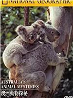 国家地理：澳洲动物探秘在线观看