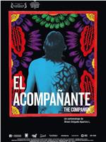 El acompañante在线观看