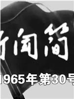 新闻简报1965年第30号在线观看