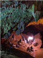 新星：泰国洞穴救援在线观看