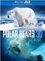 北极熊冰熊在线观看