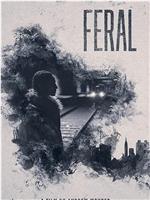 Feral