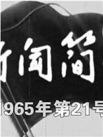 新闻简报1965年第21号在线观看