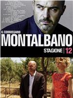 蒙塔巴诺督查 第12季 Inspector Montalbano Season 12 Season 12