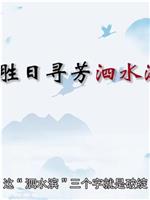 百家讲坛：中国故事·爱国篇 11 辛弃疾