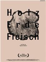 Holz Erde Fleisch在线观看