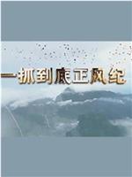 一抓到底正风纪——秦岭违建整治始末在线观看