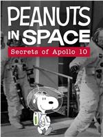 花生在太空：阿波罗十号的秘密