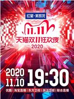 2020天猫双十一狂欢夜在线观看