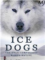 格陵兰犬的故事在线观看