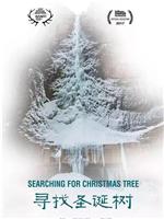寻找圣诞树