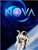 Nova Season 45在线观看