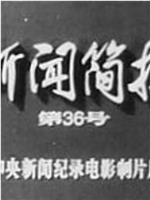 新闻简报1973年第36号在线观看