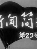 新闻简报1965年第23号